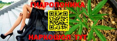 гидра Можайск