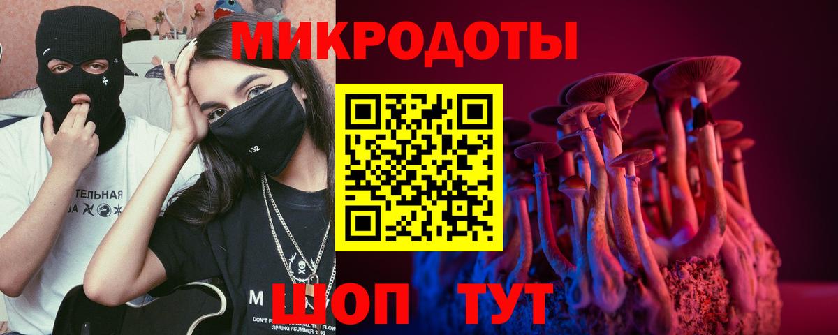 Усть-Илимск  Псилоцибиновые грибы мицелий  Вход с VPN  Галлюциногенные грибы GOLDEN TEACHER 